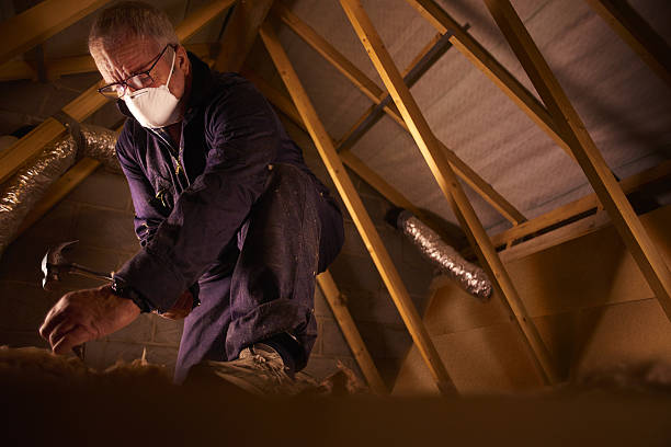 Types of Insulation We Offer in Quincy, IL